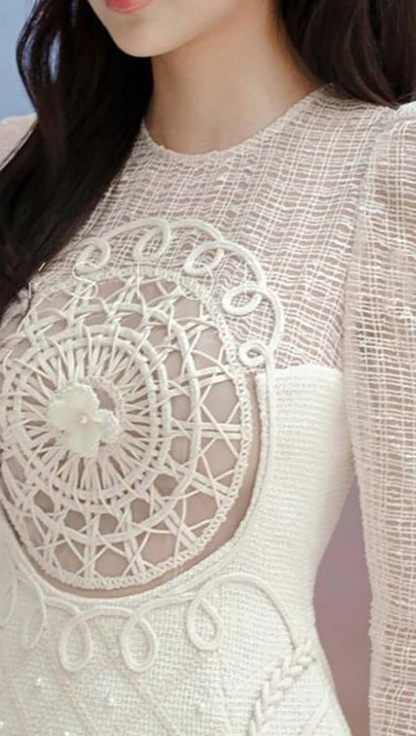 AIIZIE LONG-SLEEVE EMBROIDERED LACE MINI DRESS IN BEIGE - product image