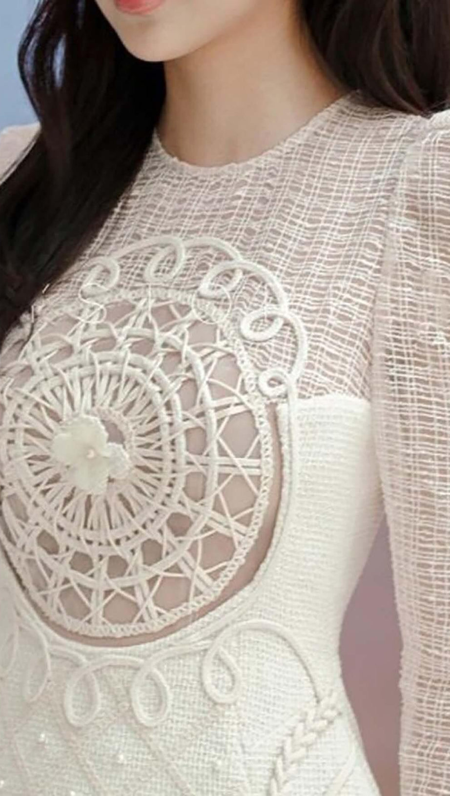 LONG-SLEEVE EMBROIDERED LACE MINI DRESS IN BEIGE