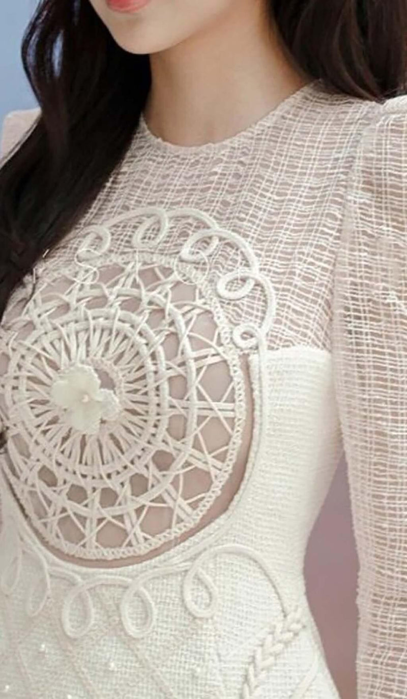 LONG-SLEEVE EMBROIDERED LACE MINI DRESS IN BEIGE