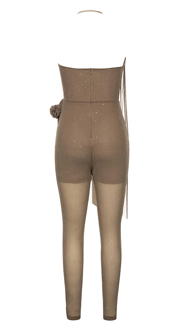 AIIZIE MESH PLUNGE JUMPSUIT IN BROWN - product image