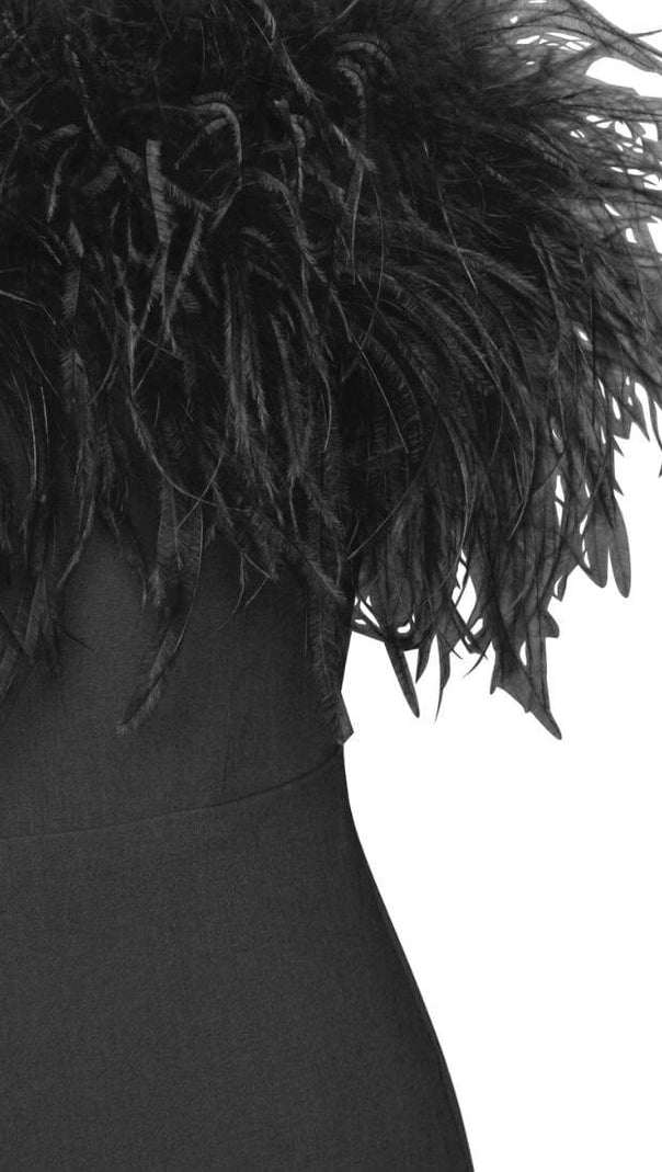 AIIZIE FEATHER JUMPSUIT IN BLACK - product image