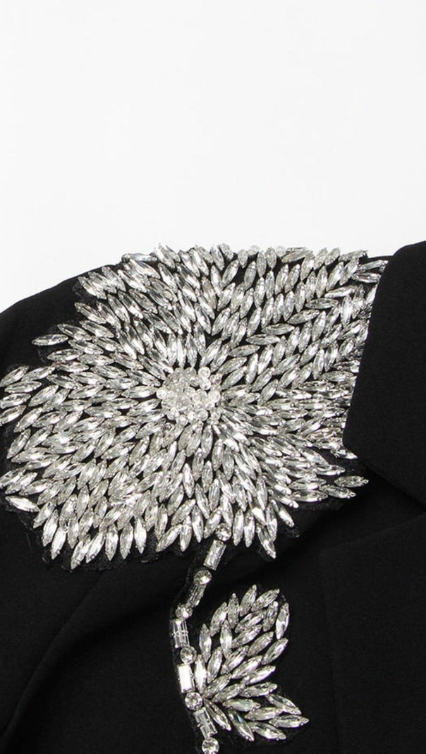 AIIZIE RHINESTONE DETAIL JACKET IN BLACK - product image