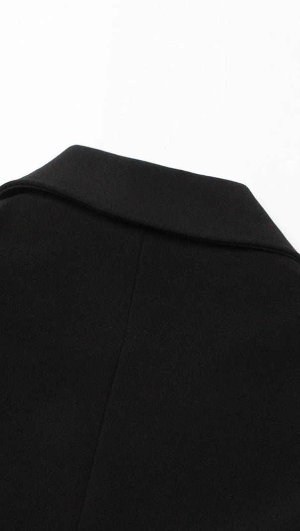 AIIZIE RHINESTONE DETAIL JACKET IN BLACK - product image