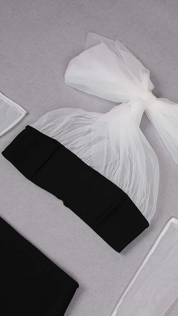 AIIZIE LEATHER BANDEAU CROSSOVER TULLE TWO PIECE IN BLACK - product image