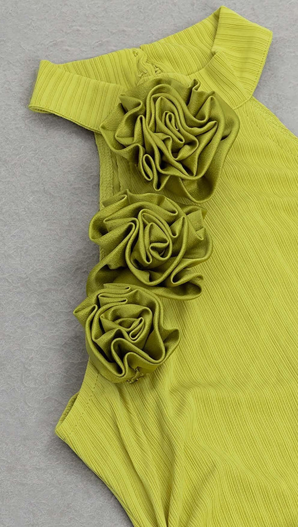 AIIZIE ROSE-EMBELLISHED HALTER MAXI DRESS IN FADED GREEN - product image