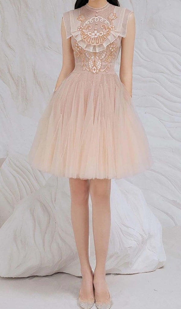 MESH EMBROIDERED SKATER DRESS IN PINK