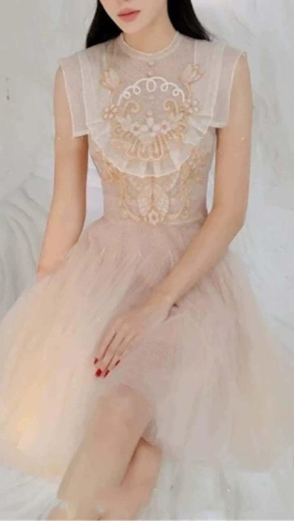 AIIZIE MESH EMBROIDERED SKATER DRESS IN PINK - product image