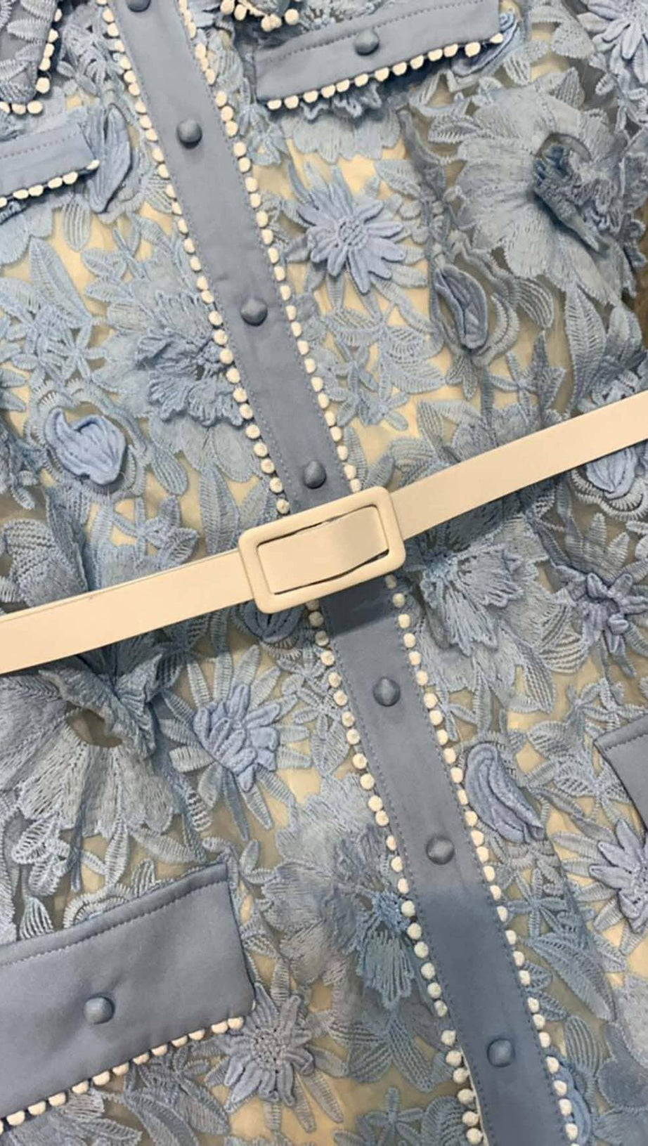 A-LINE FLORAL EMBROIDERY MINI DRESS IN BLUE