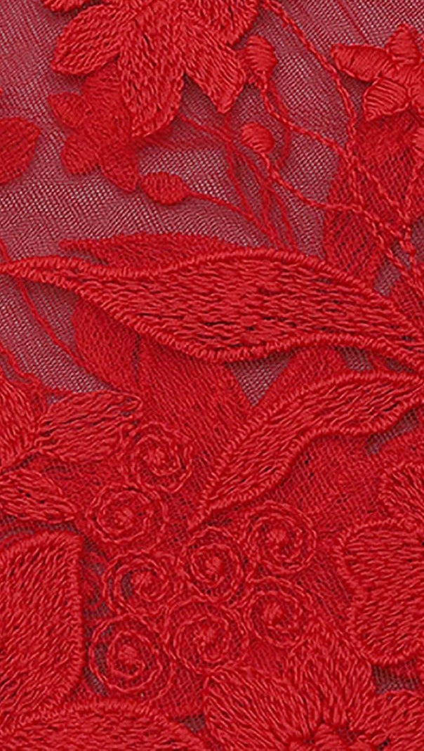 AIIZIE FLORAL CORSET LACE MAIX DRESS IN RED - product image