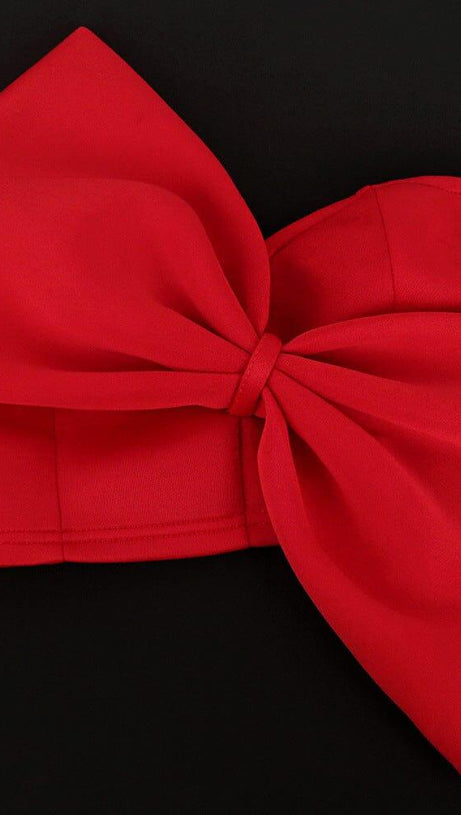 BOW EMBELLSHIED SKIRT SET