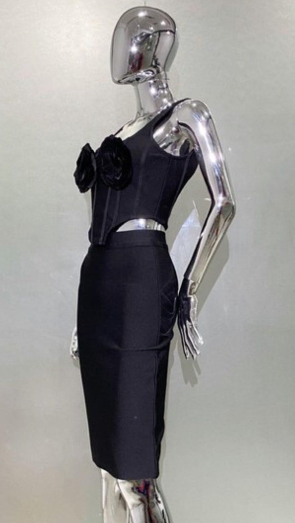 AIIZIE ROSES EMBELISHED CORSET TWO PIECES SET - product image
