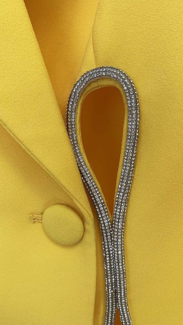 AIIZIE CRYSTAL TRIM CUTOUT JACKET SUIT IN YELLOW - product image