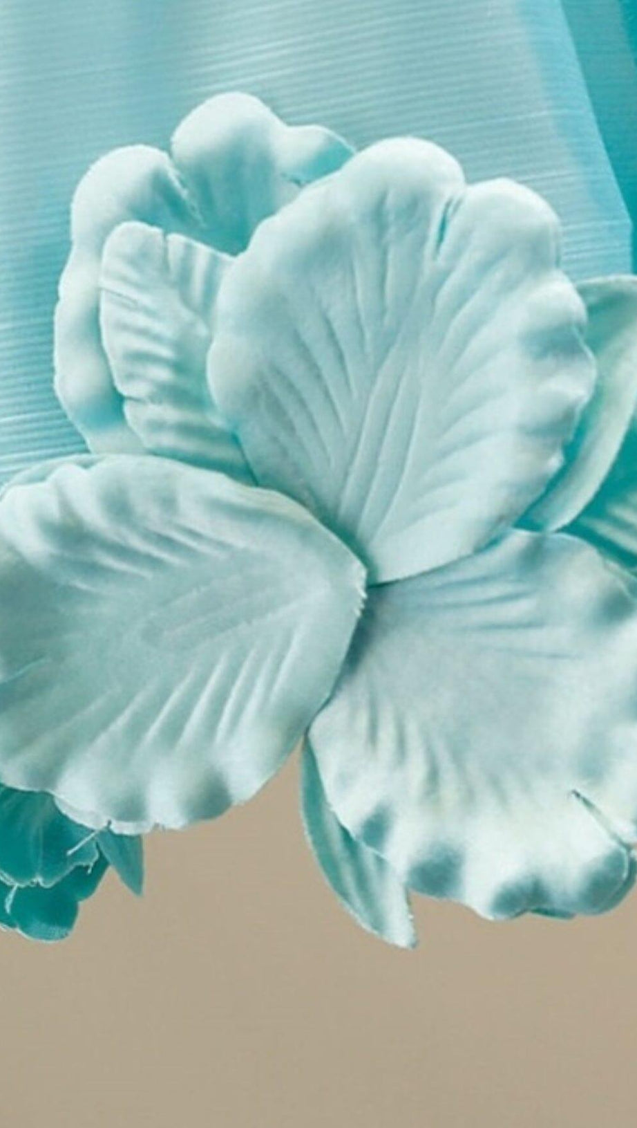 BETTY FLORAL APPLIQUÉD MESH DRESS