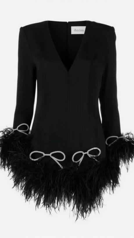 KOKO LONG SLEEVE BOW CRYSTAL FEATHER DRESS