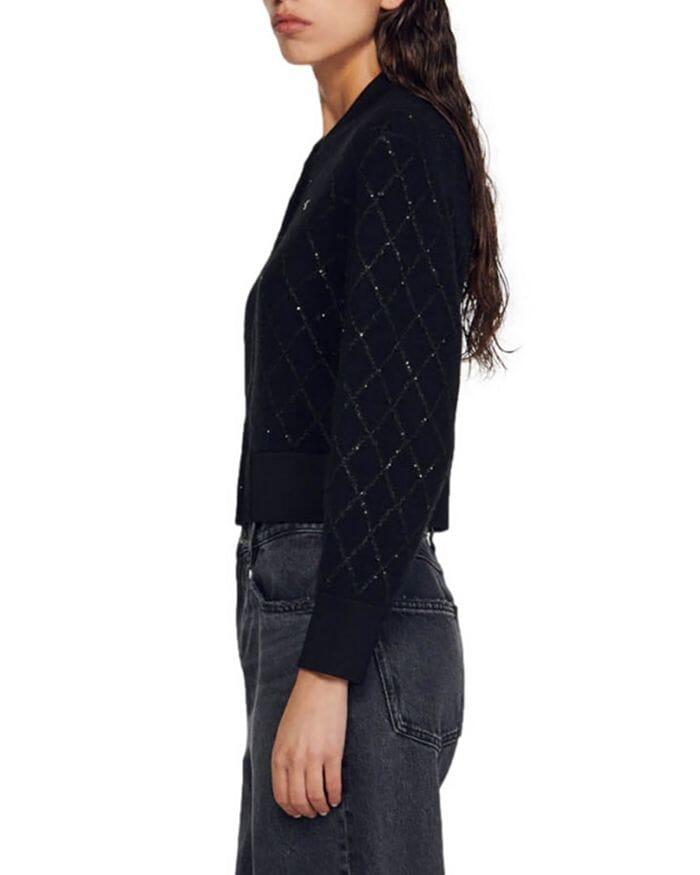 AIIZIE CABARET CARDIGAN SWEATER - product image