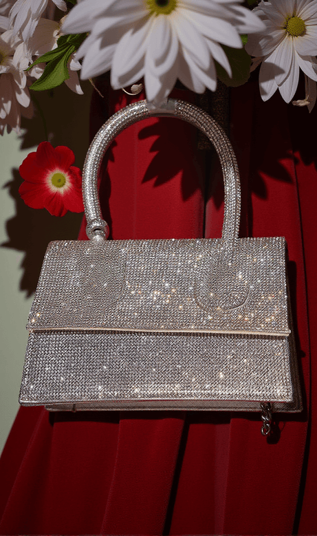 Caleo Crystal Clutch In Silver