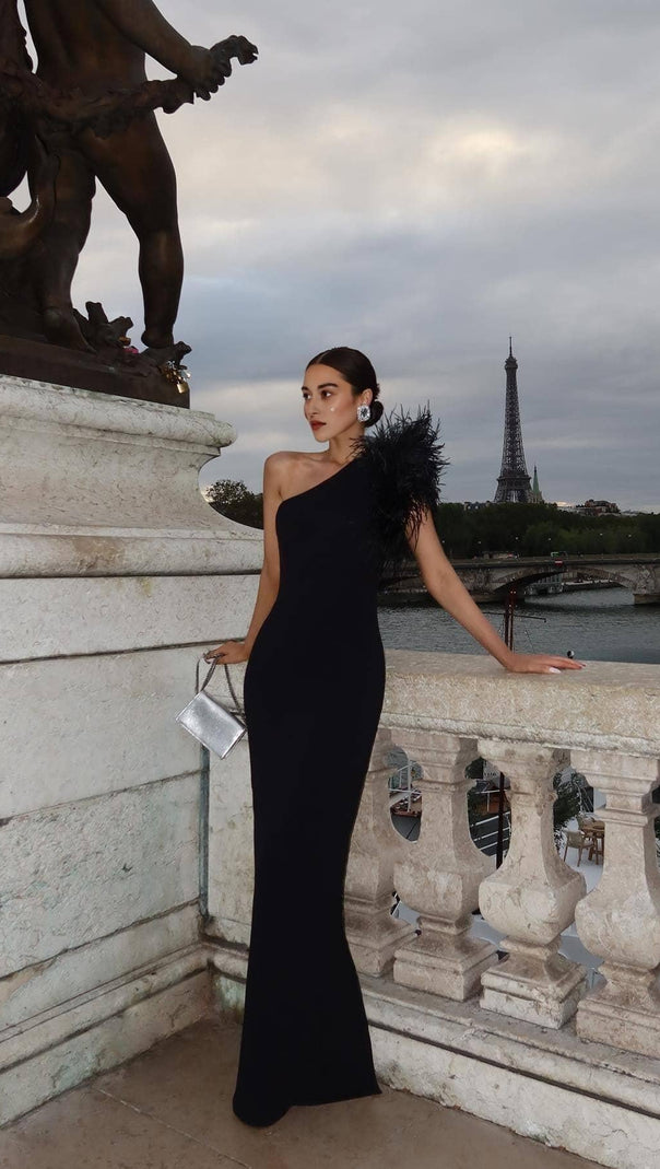 AIIZIE BLACK ONE-SHOULDER FEATHER MAXI DRESS - product image
