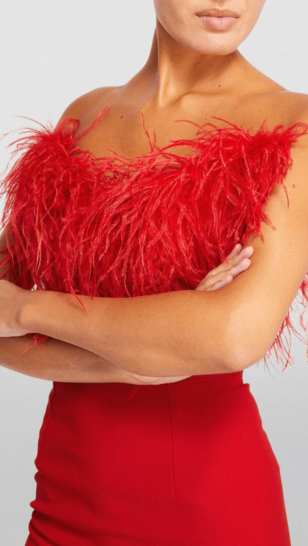 AIIZIE RED FEATHER TRIM MINI DRESS - product image
