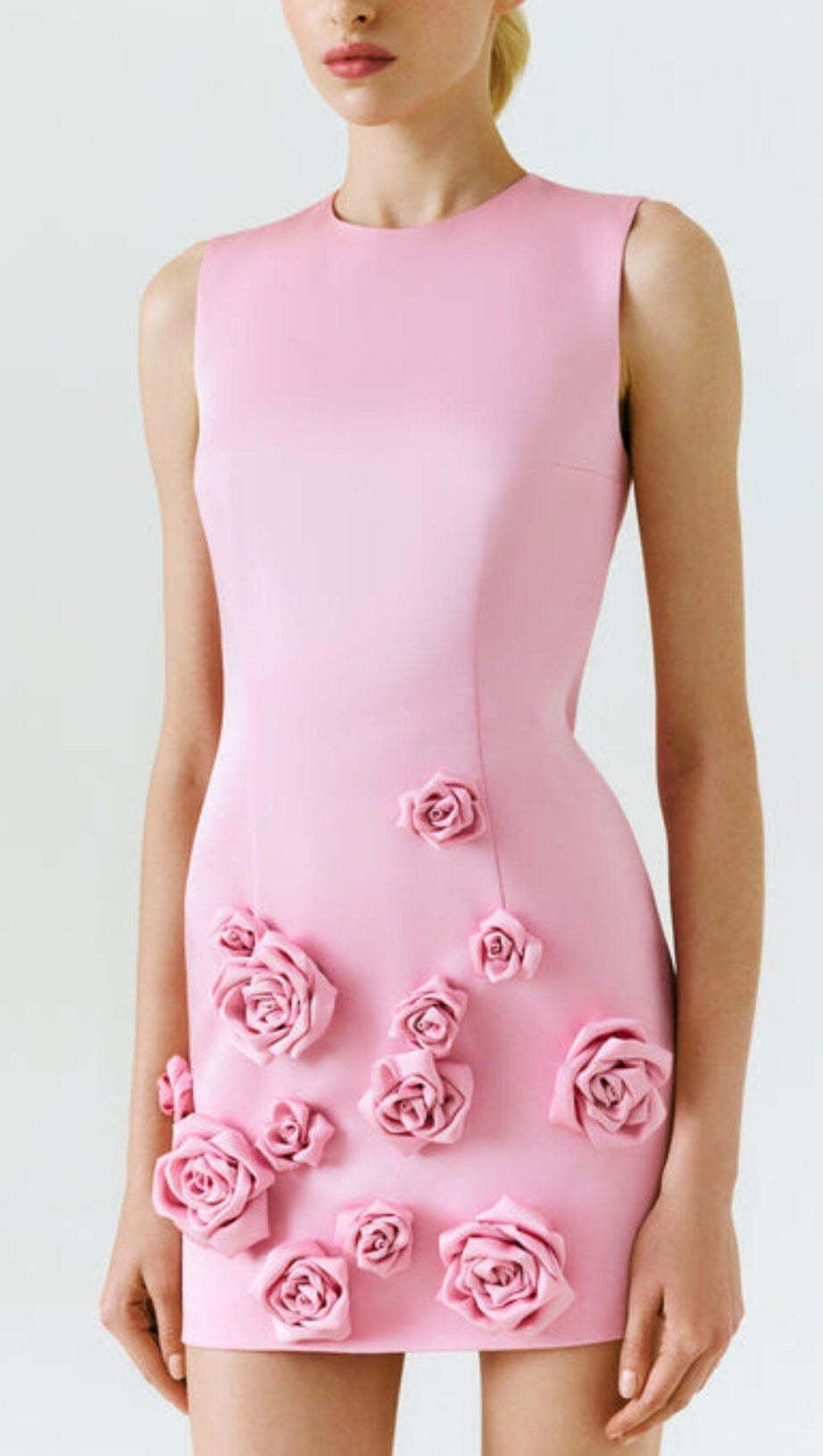 ROSE-APPLIQUÉ ROUND NECK CADY MINI DRESS