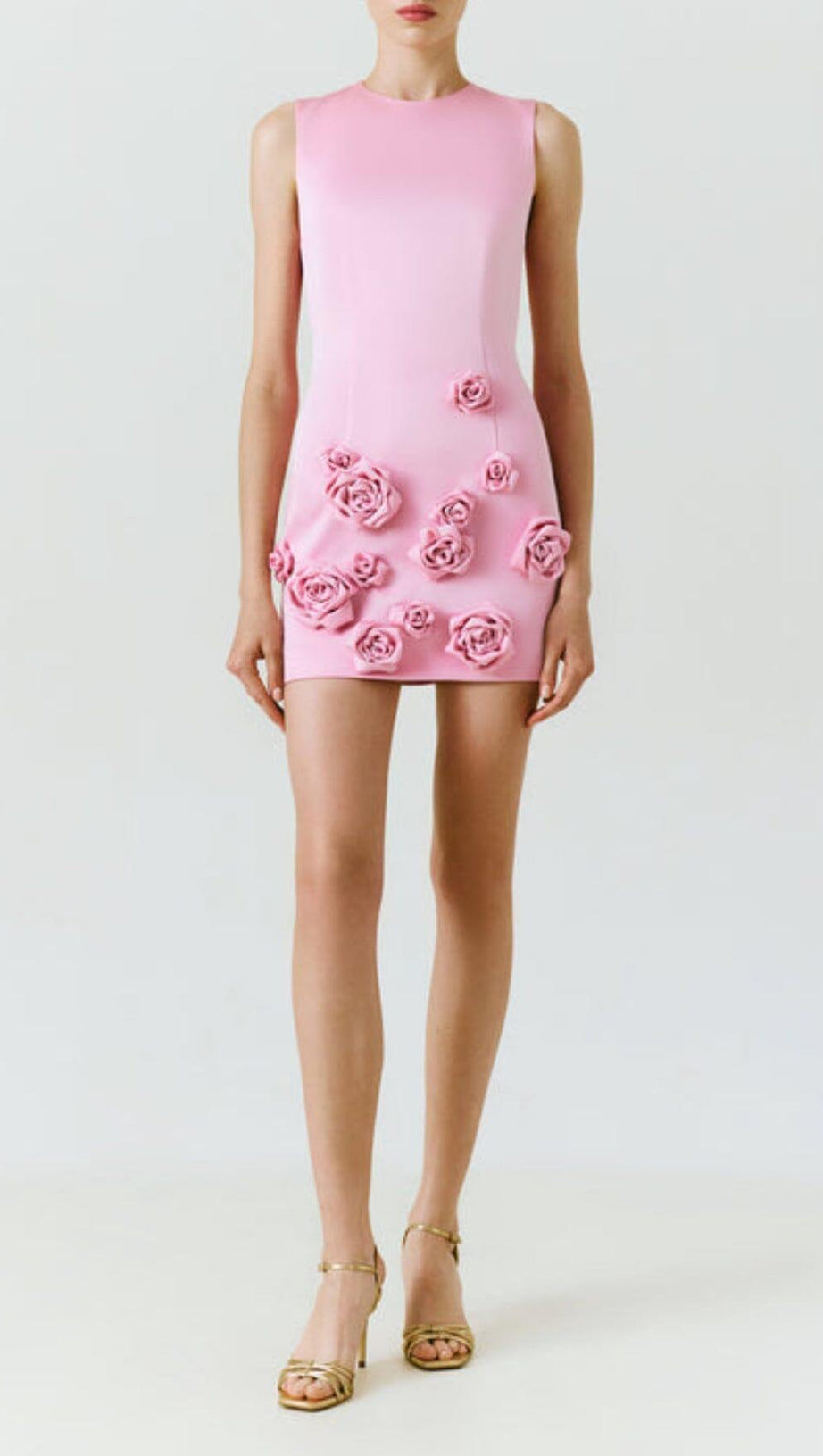 ROSE-APPLIQUÉ ROUND NECK CADY MINI DRESS