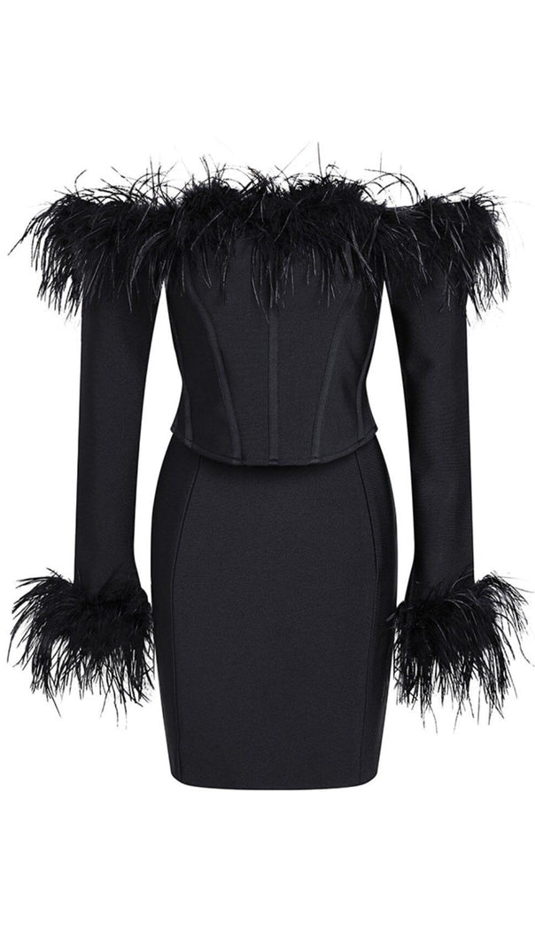 AIIZIE FEATHER CORSET MINI DRESS IN BLACK - product image
