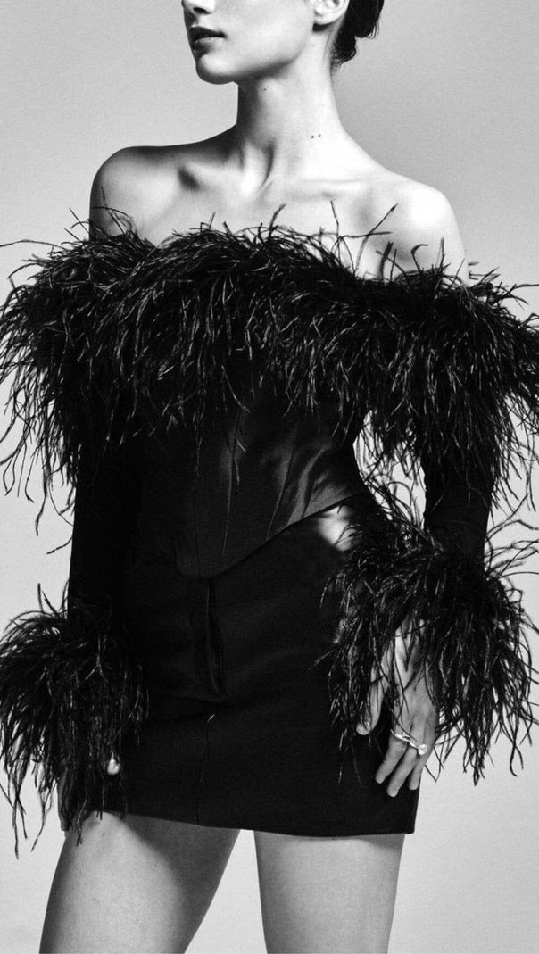 AIIZIE FEATHER CORSET MINI DRESS IN BLACK - product image