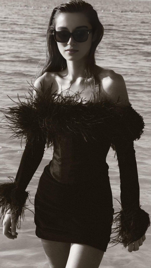 AIIZIE FEATHER CORSET MINI DRESS IN BLACK - product image