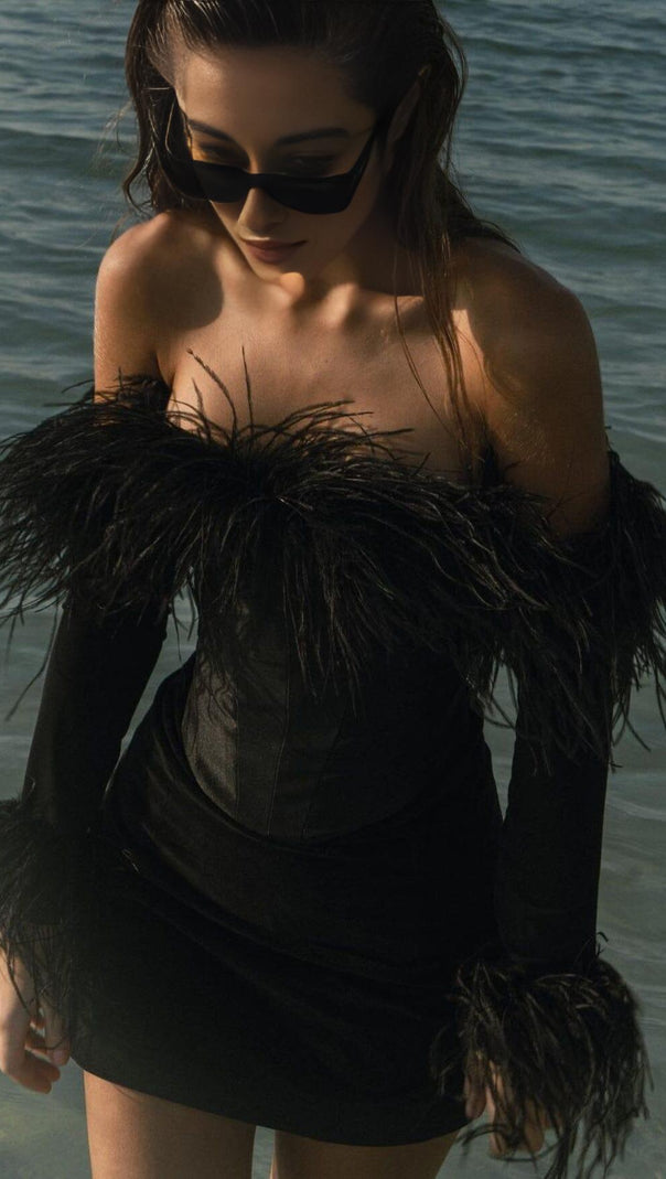 AIIZIE FEATHER CORSET MINI DRESS IN BLACK - product image