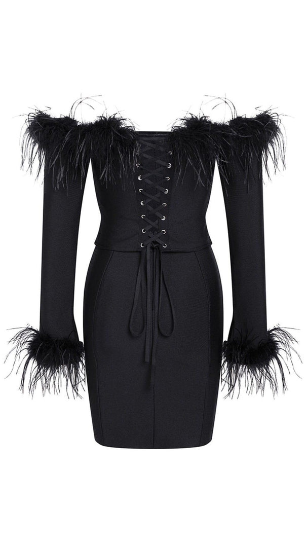AIIZIE FEATHER CORSET MINI DRESS IN BLACK - product image