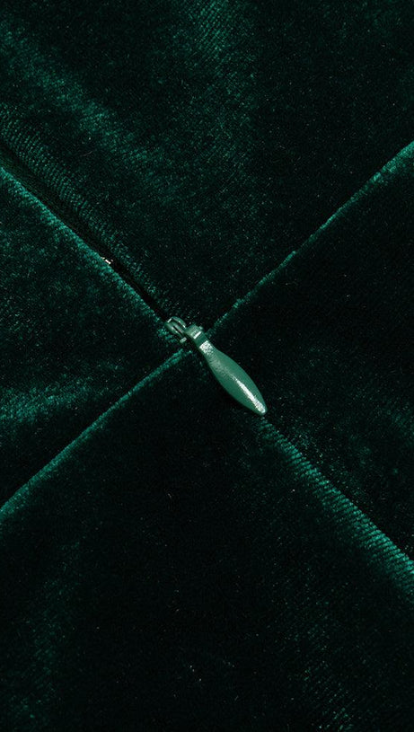 LONG SLEEVE BUSTIER MAXI VELVET DRESS