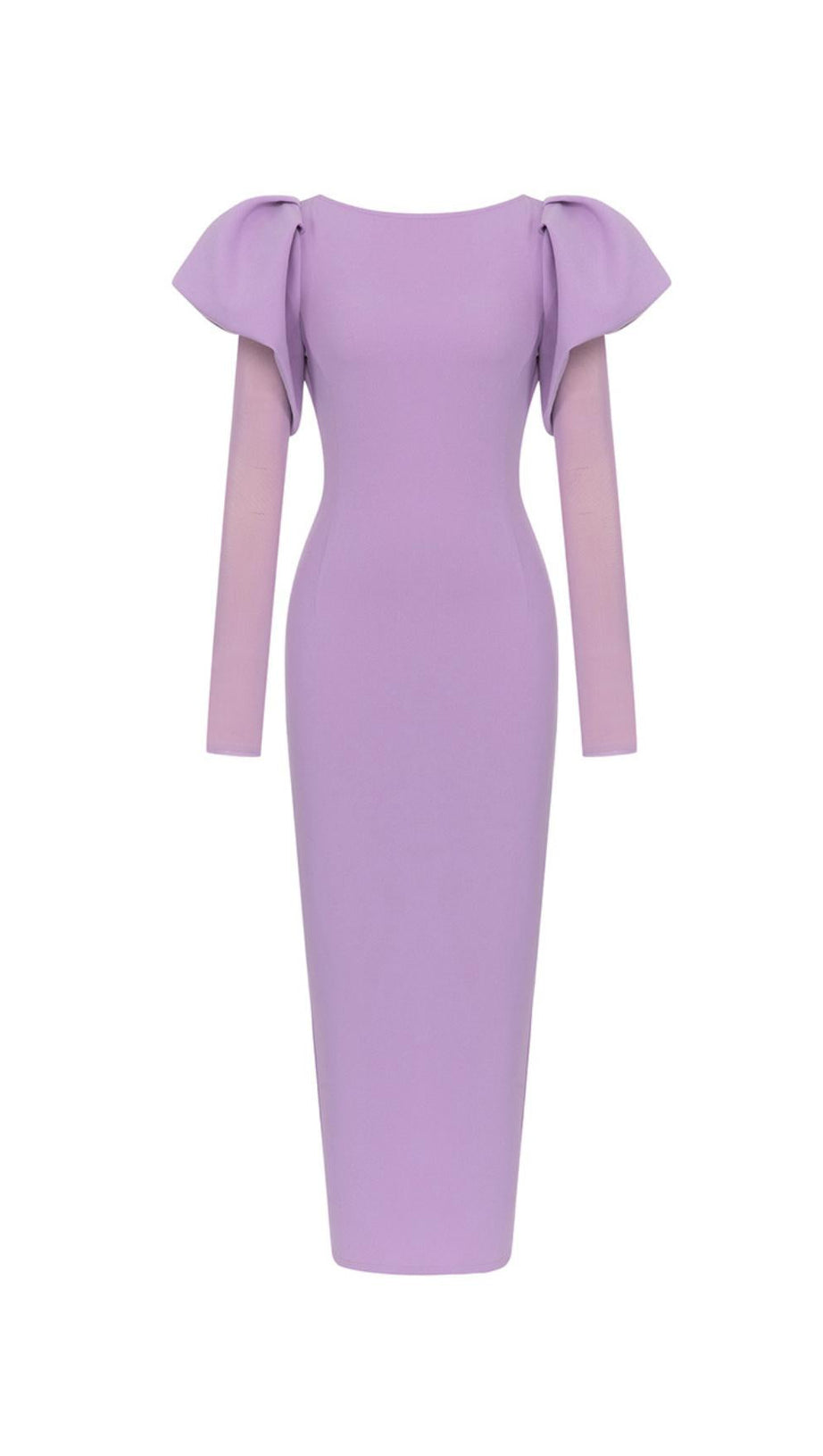 MESH LONG SLEEVE MAXI DRESS