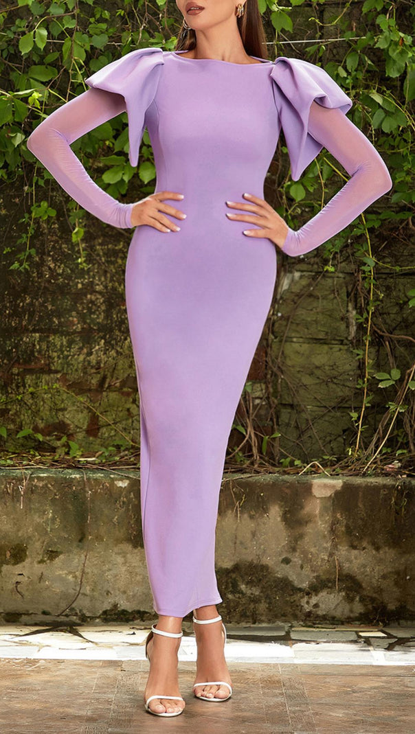 AIIZIE MESH LONG SLEEVE MAXI DRESS - product image