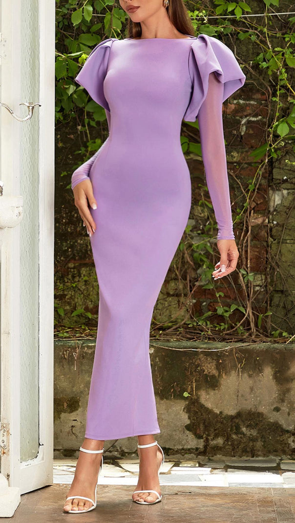 AIIZIE MESH LONG SLEEVE MAXI DRESS - product image