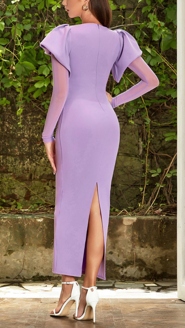 AIIZIE MESH LONG SLEEVE MAXI DRESS - product image