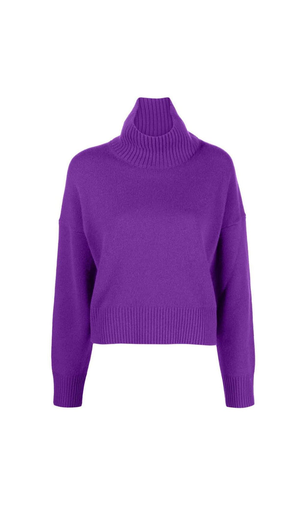 AIIZIE MOCK TURTLENECK SWEATER - product image