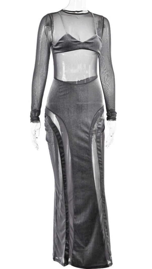 AIIZIE GREY VELVET MESH MAXI DRESS - product image