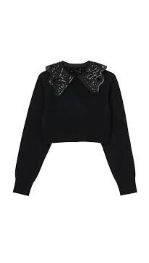 AIIZIE EMBELLISHED COLLAR SWEATER - product image