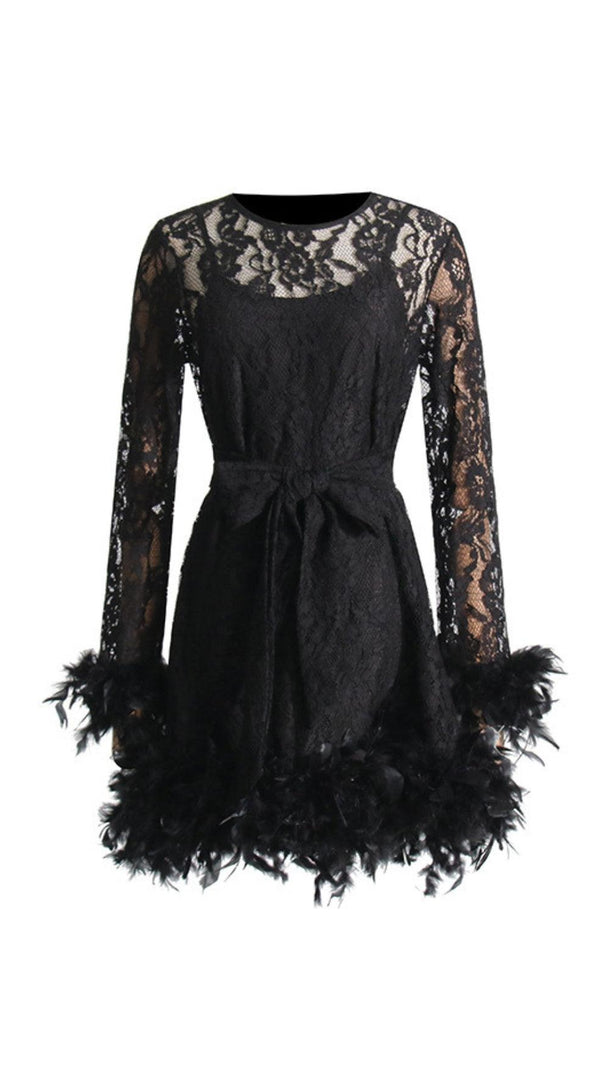 AIIZIE FEATHER TRIMMED LACE DRESS - product image