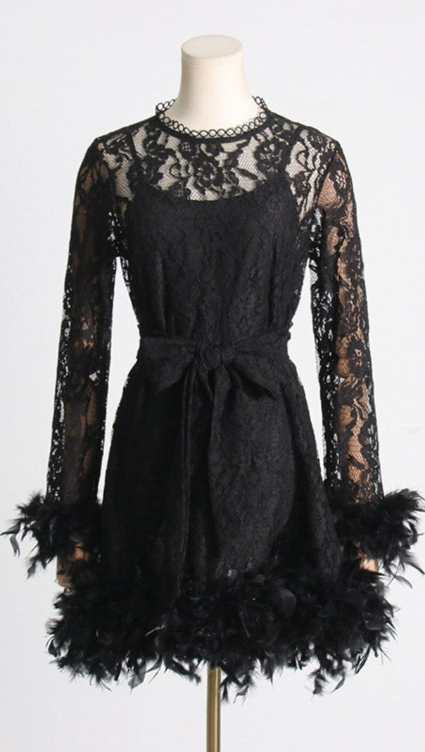 AIIZIE FEATHER TRIMMED LACE DRESS - product image