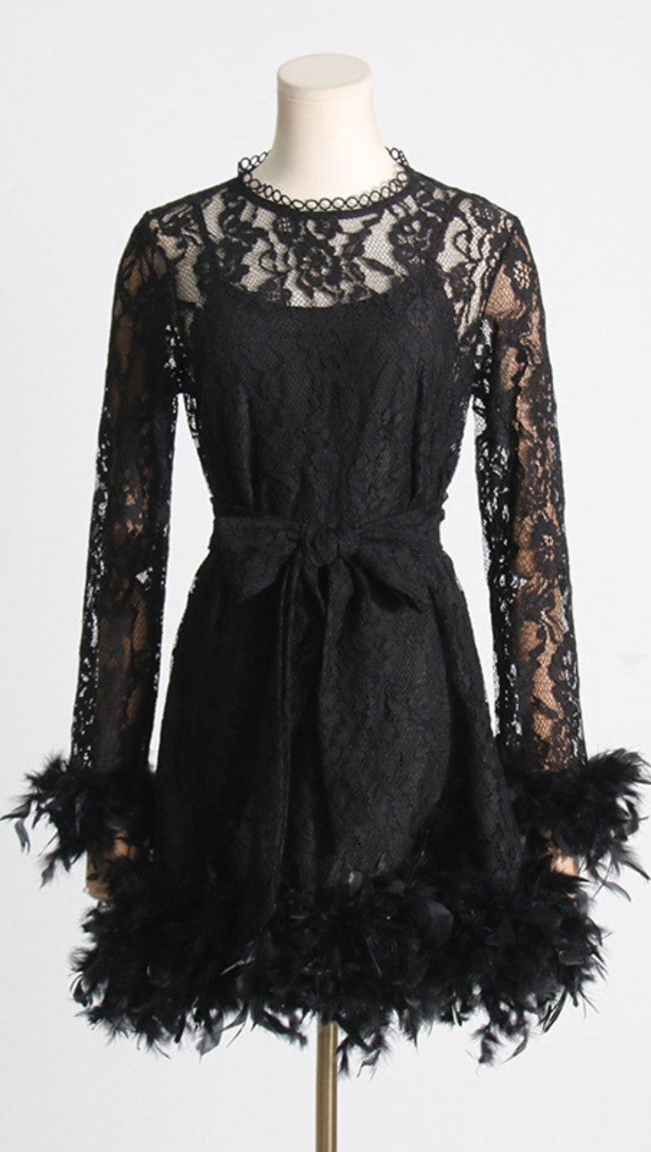FEATHER TRIMMED LACE DRESS
