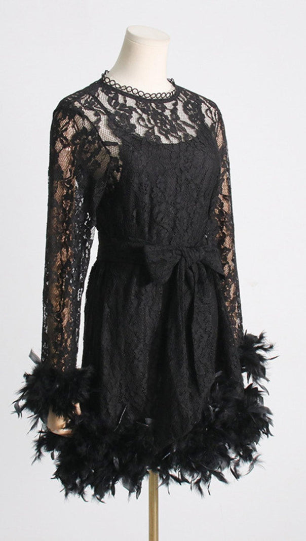 AIIZIE FEATHER TRIMMED LACE DRESS - product image