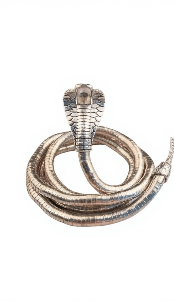 AIIZIE DARYA SNAKE NECKLACE - product image