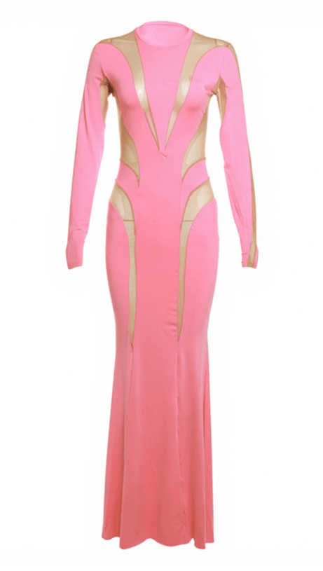 ISMAY LONG SLEEVE MESH BODYCON MAXI DRESS IN PINK