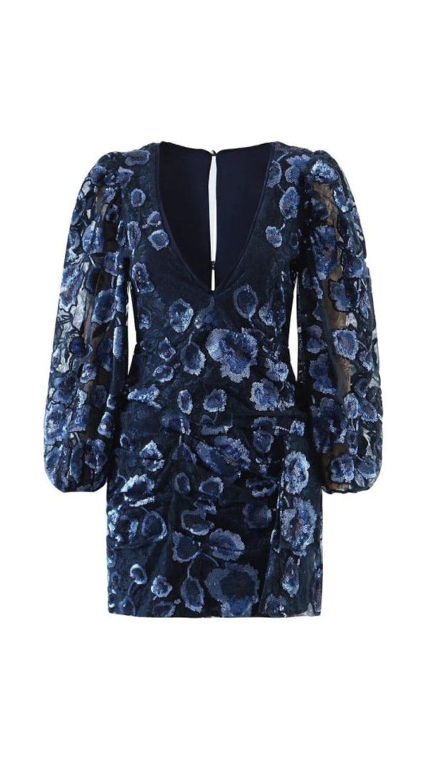 AIIZIE VICTORIA EMBROIDERED MINI DRESS IN BLUE - product image