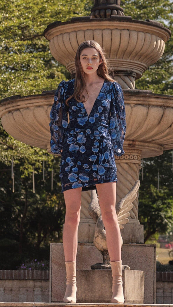 AIIZIE VICTORIA EMBROIDERED MINI DRESS IN BLUE - product image