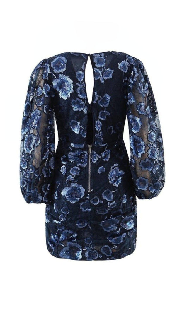 AIIZIE VICTORIA EMBROIDERED MINI DRESS IN BLUE - product image