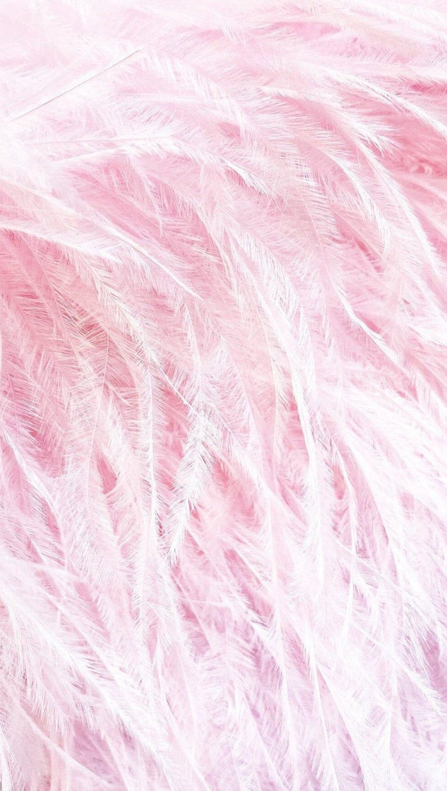 MINI ABITO CON BENDAGGIO, PIUME E CRISTALLI IN NERO