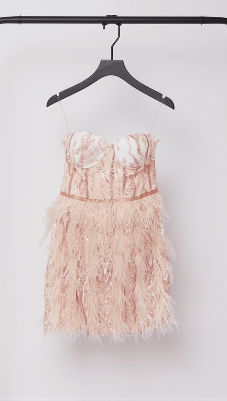 ASHLYN MINI ABITO SENZA SPALLINE CON PIUME E PAILLETTES