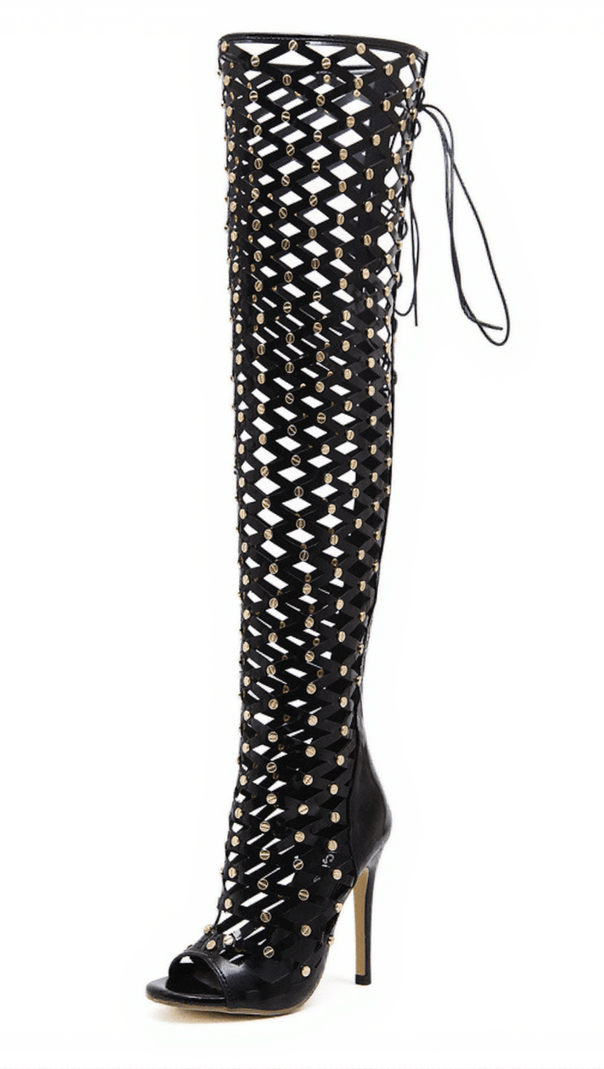 AIIZIE MAISON LACE UP NET HOLLOW BOOTS - product image