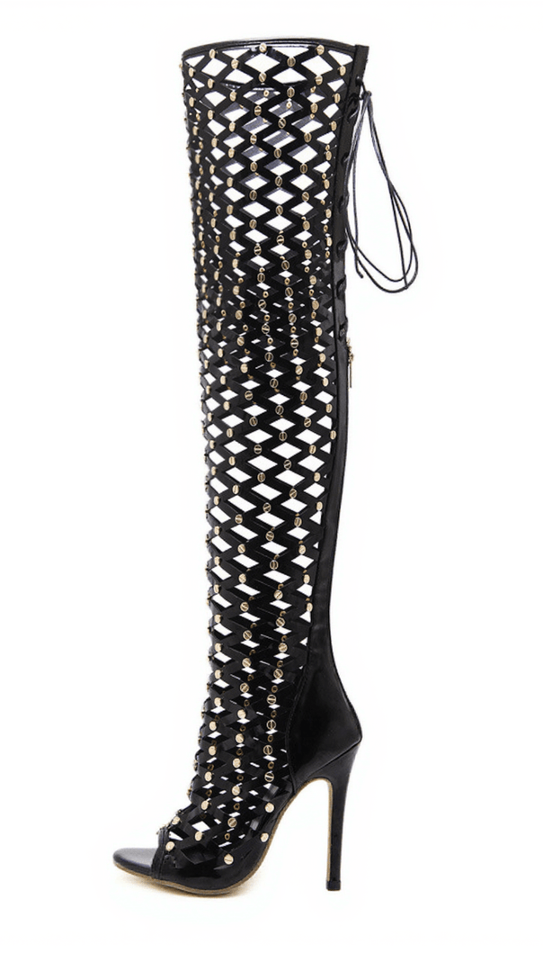 AIIZIE MAISON LACE UP NET HOLLOW BOOTS - product image